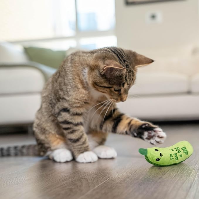 Catstages Crunchy Pickle Kicker Cat Toy – Plush Crinkle Toy with Catnip and Dental Mesh, 6.5"