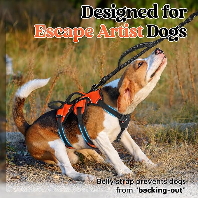 rabbitgoo Escape Proof Dog Harness for Small, No Pull with Lift Handle | No Escape, Full Soft Padded, Reflective Adjustable Vest, Leash Clip for Walking Hiking Training, Orange, Small
