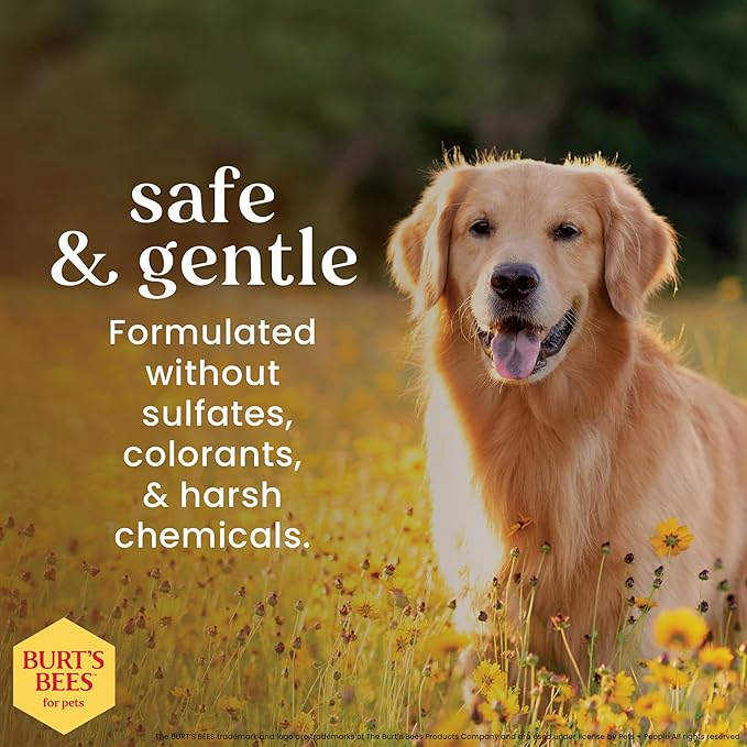 Burt's Bees for Pets Care Plus+ Naturally Derived Hydrating Dog Grooming Paw & Nose Lotion- Dog Paw & Nose Lotion for Relieving Rough Paw Pads and Noses - Made in The USA, 6 Oz
