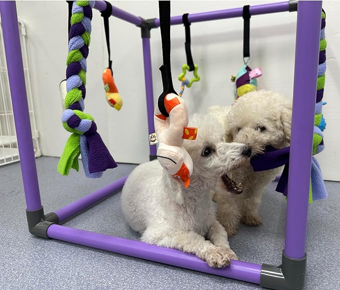 Puppy Play Gym for small dogs with 8 Hanging Interactive Toys Indoor Play | Funny Enrichment Jungle Playground to Keep Them Busy，with Bungee Straps for self-play,19.5*19.5*19.5in