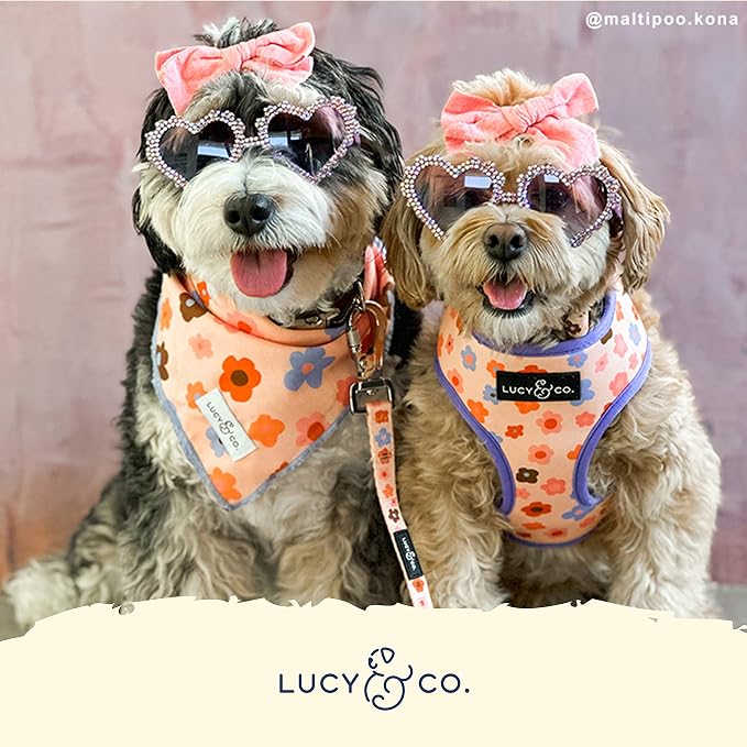 Lucy & Co. Reversible Dog Harness - Water-Repellent Neoprene, Dual-Print Design, Easy Swap Style, Adjustable Comfort Fit - Let's Groove Reversible Harness - X-Large