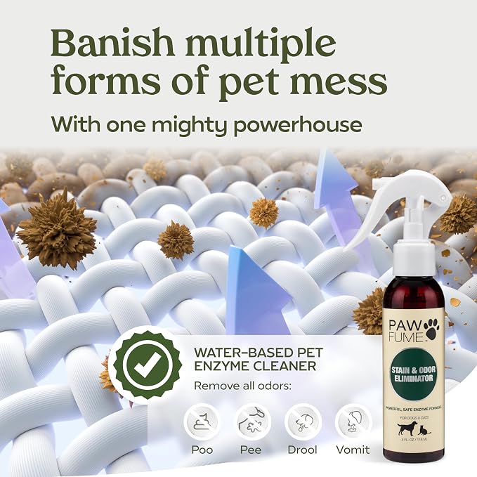PAWFUME Stain & Pet Urine Odor Eliminator, 1-Pack | Enzymatic quick-dry formula with eco-friendly ingredients for upholstery, fabrics and Carpet Cleaner Spray use