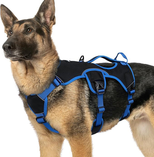 rabbitgoo Escape Proof Dog Harness for X-Large, No Pull with Lift Handle | No Escape, Full Soft Padded, Reflective Adjustable Vest, Leash Clip for Walking Hiking Training, Blue & Black, X-Large