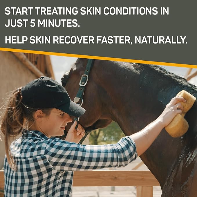 Absorbine Silver Honey Rapid Skin Relief Medicated Shampoo, Medical Grade Manuka Honey & MicroSilver BG, Rejuvenating, Soothing & Hydrating, 16 fl oz
