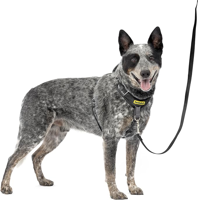 PetSafe Easy Walk Comfort No Pull Dog Harness, Black, Medium | Stops Pulling on First Use with Front Martingale Loop, Full-Body Padding, 5-Point Adjustable Fit