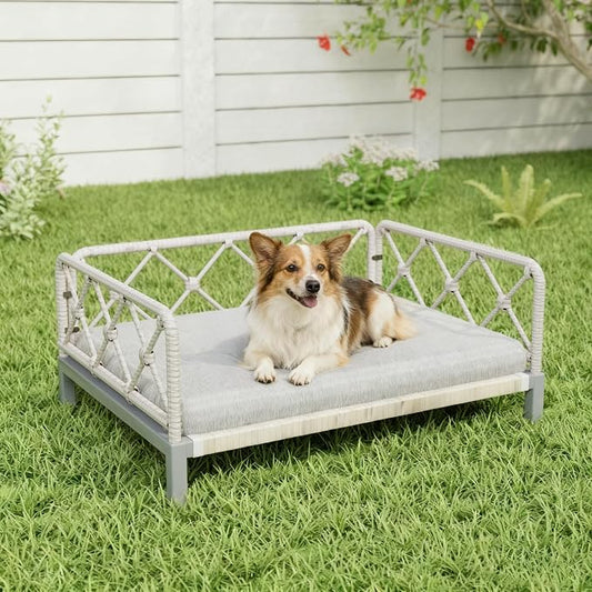 Elevated Indoor & Outdoor Dog Bed for Small Dogs, Durable Rattan Wicker Pet Sofa with Removable Washable Waterproof Cushion, Stylish Dog Couch, White Rattan/Grey Mat