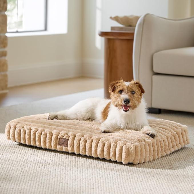 Bedsure ComfyFleece™ Fluffy Balanced Support,Dog Bed Medium Size Dog,30x20 | Golden Ratio Chopped Foam & PP Cotton, Home Decor,Waterproof Liner, Removable Washable Cover, Nonslip Bottom,Sandy Beige
