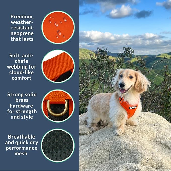 Adventure Dog Harness - Stylish, & Durable Medium Dog Harness for Outdoor Adventures and Everyday Wear - Sunset Orange Neoprene Adjustable Harness for Dogs with Reflective Piping & Brass D-ring