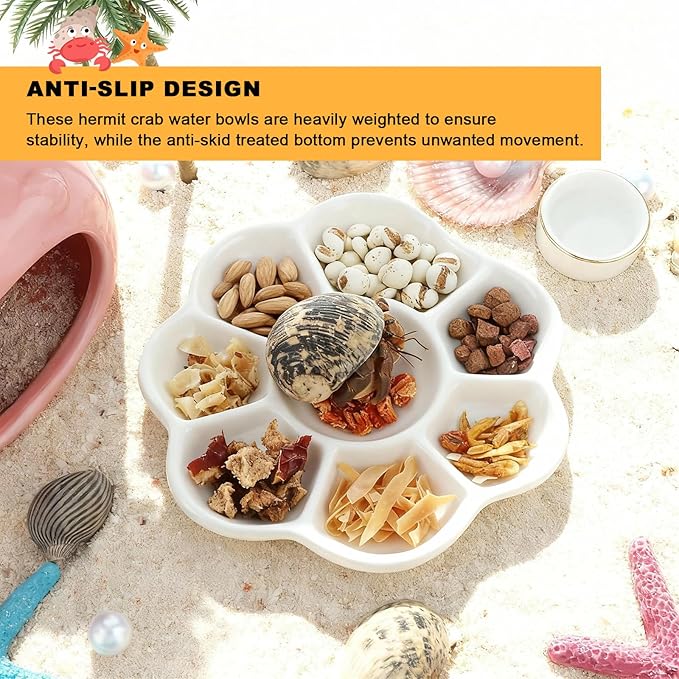 Eiito Reptile Food Bowl,Hermit Crab Lizard Gecko Ceramic Food Dish, 7 Compartments Anti-Turning Bearded Dragon Food & Water Bowl with Small Brush (White)