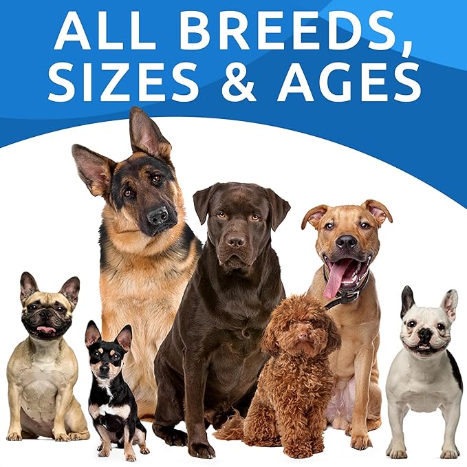 BARK&SPARK Dog Allergy Relief Soft Chews for Skin Health & Seasonal Allergies - Anti-Itch Supplement w/Omega-3, Quercetin & Bromelain Immune Treats for Dry Skin & Hot Spots - Chicken Liver - 360ct