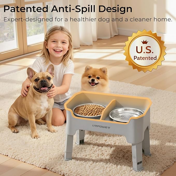 URPOWER Mess Proof Elevated Dog Bowls, Splash Guard Raised Bowl Stand | 4 Adjustable Heights, 2 Stainless Steel Bowls, Food & Water Separation, Non-Slip Base, Foldable Design for Small Dogs