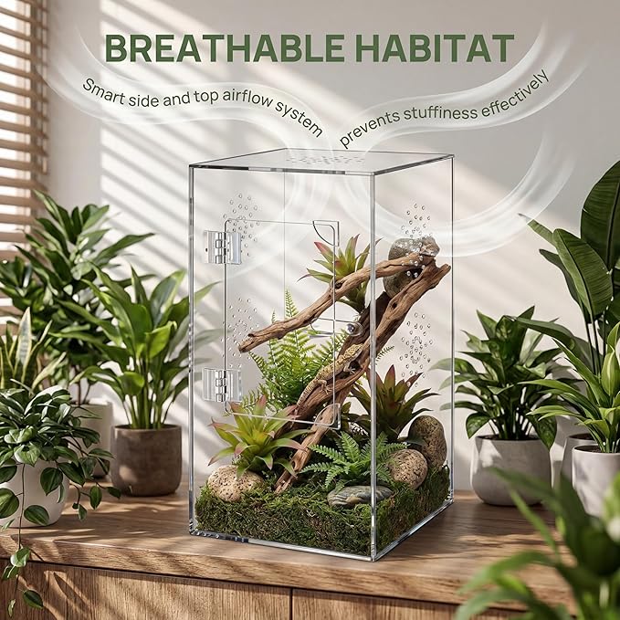 Large Jumping Spider Enclosure, 12x6x6 Inch Acrylic Spider Terrarium, Pre-Assembled Reptile Enclosure with Front Opening Door, Habitat Accessories for Mantis, Tarantula, Snail, Invertebrates