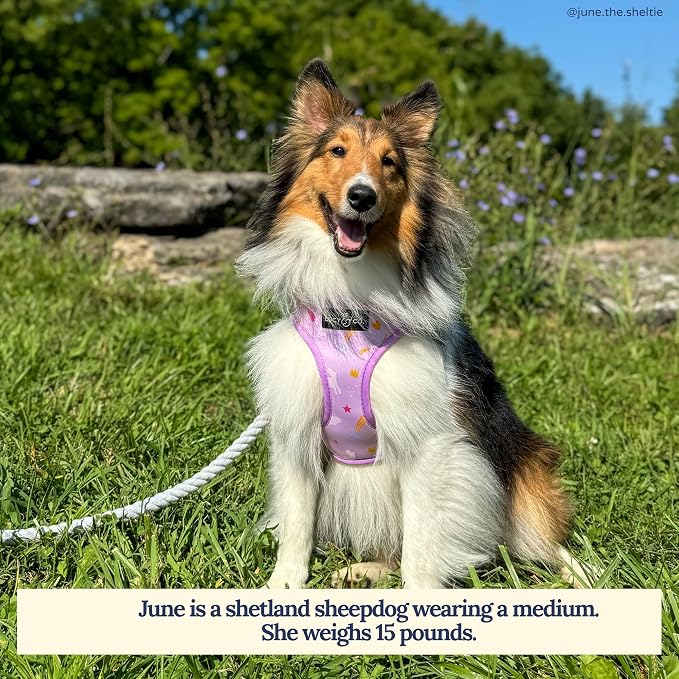 Lucy & Co. Reversible Dog Harness - Water-Repellent Neoprene, Dual-Print Design, Easy Swap Style, Adjustable Comfort Fit - Making Magic Reversible Harness - X-Small