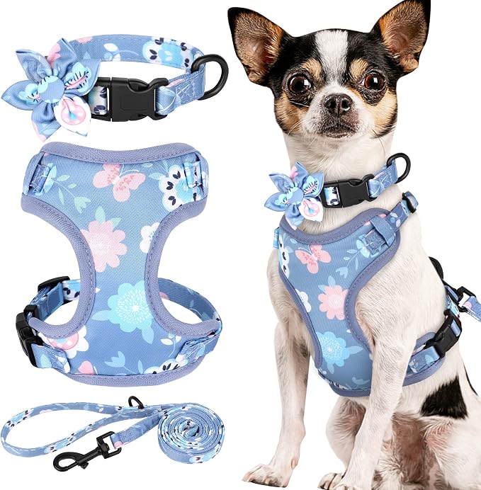 Beirui Cute Dog Collars,Harnesses,Leashes Set, Floral Pattern, Purple,XXS | Girl Dog Harness Set with Flower, Adjustable and Soft Mesh Lining, For Puppies Small & Extra Small Dogs Daily Walks