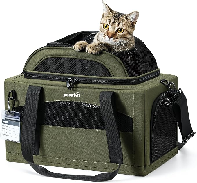 Pecute Expandable Airline Approved Pet Carrier for Cats & Dogs, Light Gray | Fits pets under 11 lbs, Under-seat airline approved, Anti-scratch mesh, Safety leash & locking zippers, Leakproof pee pad