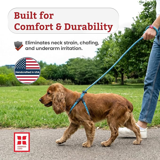 Harness Lead No Pull Dog Harness and Leash Set, Anti Pull Dog Harness, One-Piece Cushioned Rope Safely Prevents Escaping and Pulling (Medium/Large, Peacock/Blue/Lime)