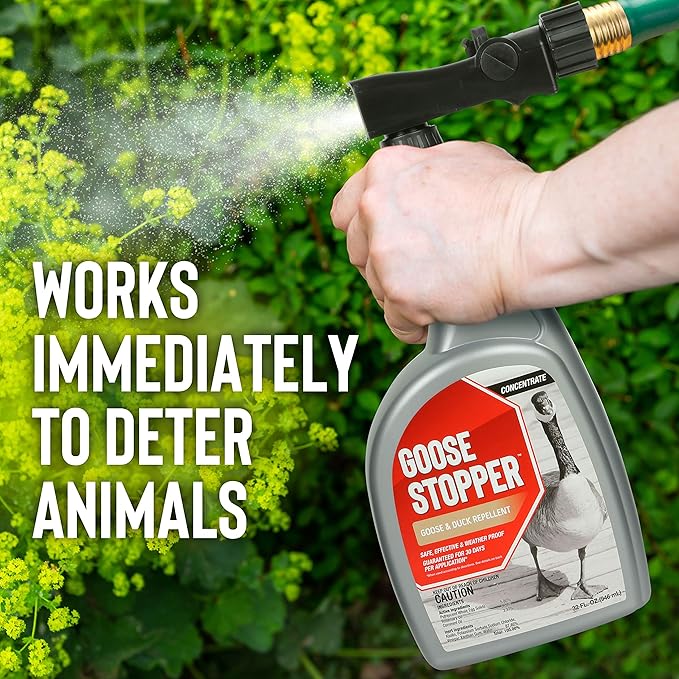 Goose Stopper Repellent Spray for Geese, Ducks & Other Web-Footed Animals - Weather-Resistant Formula - Humane Deterrent for Lawns & Outdoor Areas - 32oz Ready-to-Spray Quart Hose End