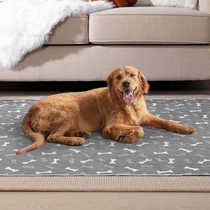 Eterish Reusable Washable Pee Pads for Dogs Extra Large 36'' x 48'' 2 Pack, Absorbent Pet Puppy Dog Training Pads Non-Slip, Waterproof Whelping Potty Pads for Dogs Leak-Proof