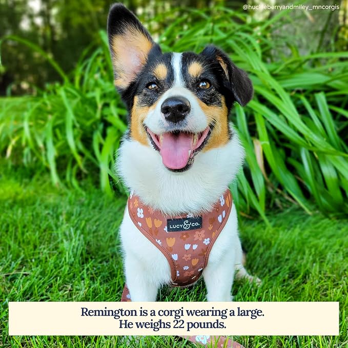 Lucy & Co. Reversible Dog Harness - Water-Repellent Neoprene, Dual-Print Design, Easy Swap Style, Adjustable Comfort Fit - Chocolate Meadows Reversible Harness - X-Large