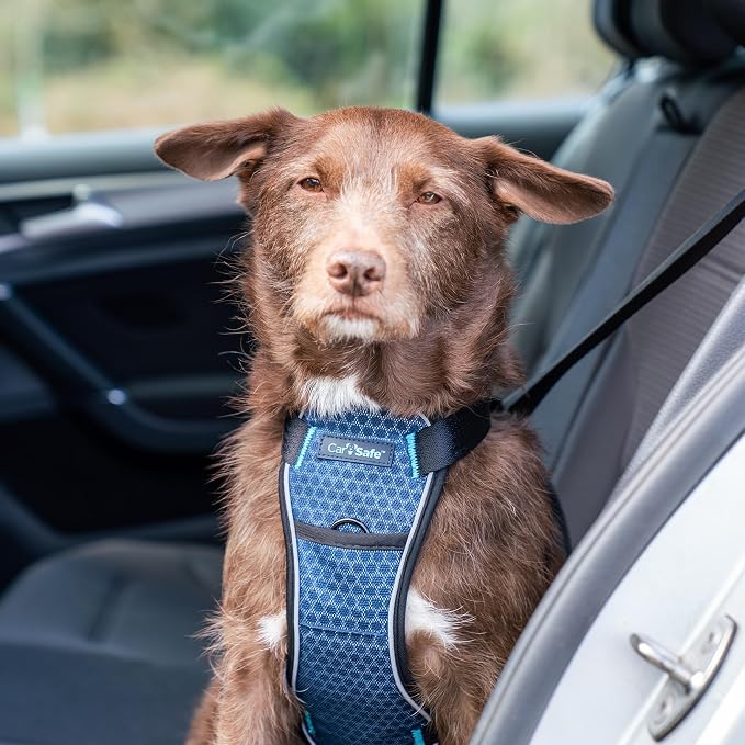 CarSafe Crash Tested Dog Safety Harness | Size S | Crash Tested to 32Kg/70lbs, Safely Secure Dog in the Car, Comfortable and Padded Design, for Toy, Small, Medium & Large Dogs