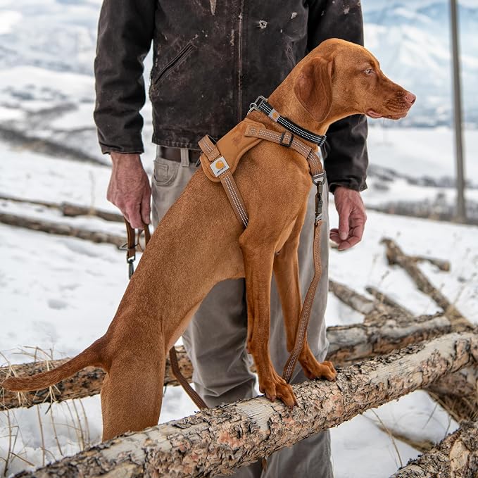 Carhartt Nylon Duck No Pull Dog Harness Faded Fatigue L | Fully Adjustable Dog Harness with Quick Control Handle and Reflective Accents