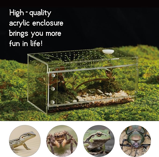 Acrylic Terrarium for Reptiles & Spiders – Small/Medium/Large Leak-Proof Enclosure (Horizontal/Vertical) | Ideal for Tarantulas, Jumping Spiders, Frogs & Geckos(Small, Horizontal)