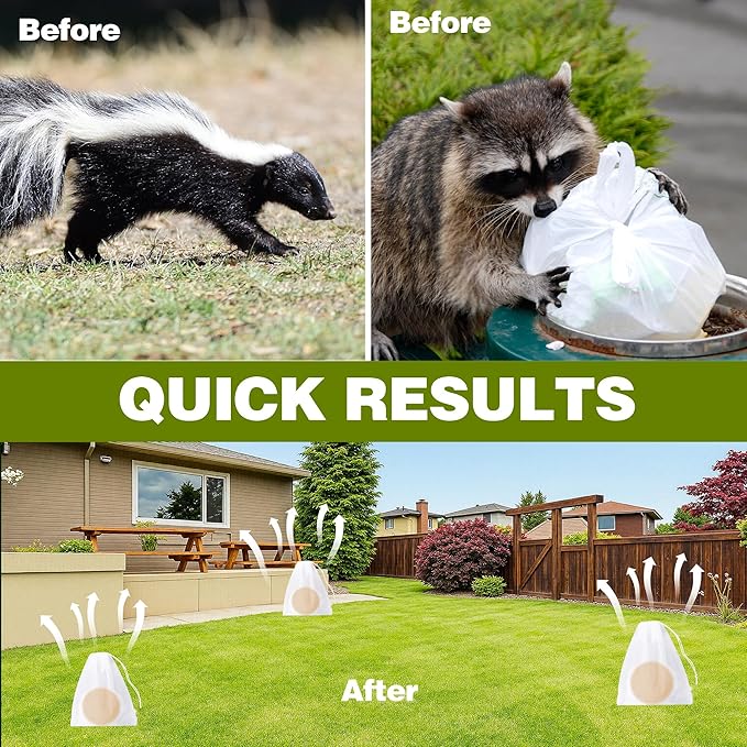 36 Pack Skunk & Raccoon Repellent for Yard, Natural Peppermint Rodent Repellent Ball Keep Skunk, Squirrel, Mouse, Raccoon Away from Yard Garden Lawn, Powerful Skunk Deterrent Outdoor