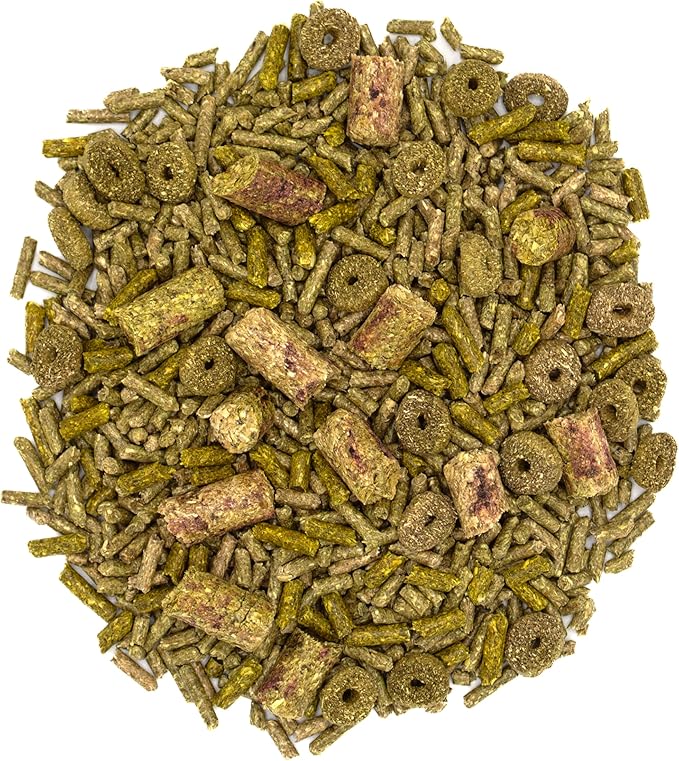 Oxbow Forage Wise Adult Rabbit Food, Engaging Variety Diet with Complete Nutrition in Every Piece, Timothy Hay Based Rabbit Food with Variety, Supports Digestion & Dental Health, Made in USA, 4 lb Bag