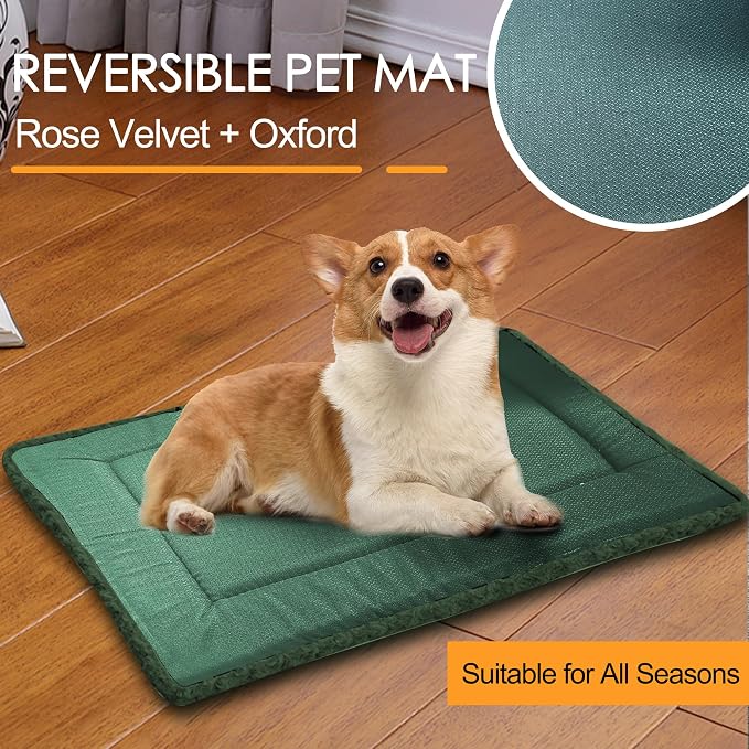 Washable Dog Bed Plush Orthopedic Outdoor Crate Mat with Non-Slip Bottom,Luxe Soft Kennel Pad for Pets,Cozy Cage Cushion & Pet Sleeping Mattress Large Sized,Medium,Small Dogs,24 x 18 inch,Green