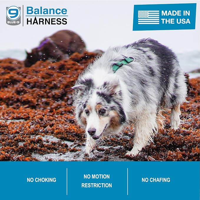 Blue-9 Buckle-Neck Balance Harness, Fully Customizable Fit No-Pull Harness, Ideal for Dog Training and Obedience, Made in The USA, Hunter Green, M/L