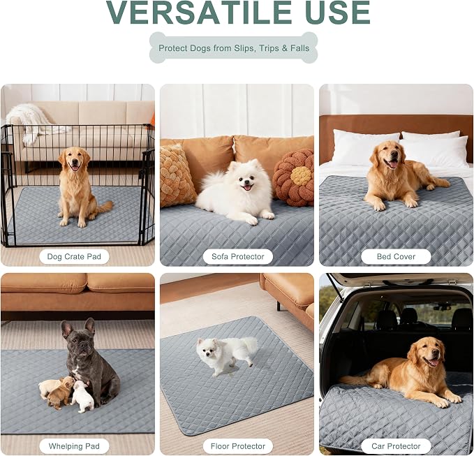Eterish Reusable Washable Pee Pads for Dogs Large/Extra Large 36'' x 36'' 2 Pack, Absorbent Pet Puppy Dog Training Pads Non-Slip, Waterproof Whelping Potty Pads for Dogs Leak-Proof