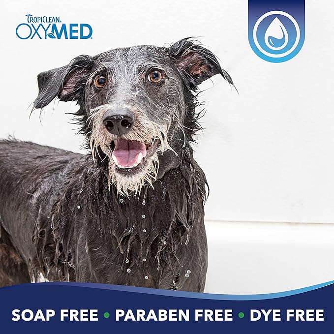 TropiClean OxyMed Dog Shampoo for Allergies and Itching, Medicated Oatmeal Shampoo for Dry Itchy Skin, Seborrhea, & Hot Spots, Cat Safe, 1 Gallon