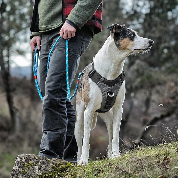 Kurgo Journey Air Dog Harness, Black, Extra Small | Padded Chest, Ripstop Outer & Breathable Mesh, Back Assist Handle, Rust-Free Aluminum Hardware, Reflective Trim