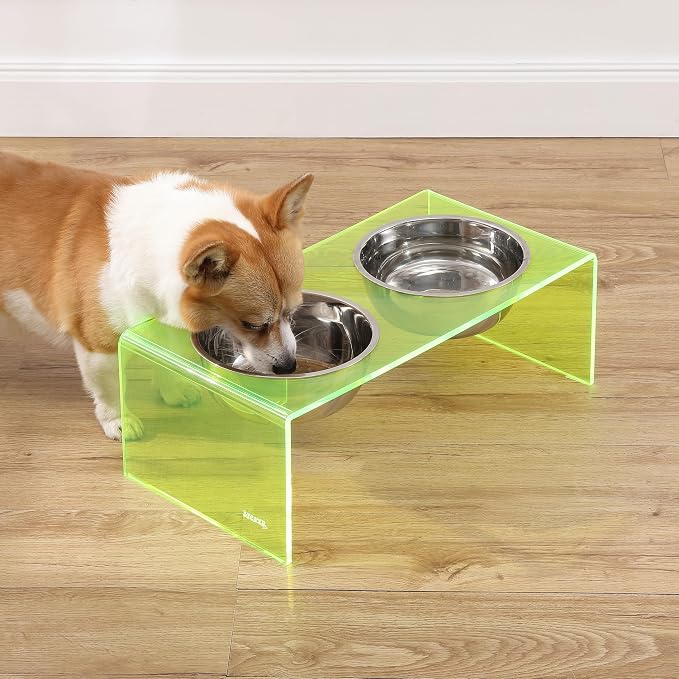 DBL2001G Keaton 7.5" Medium/Large Modern Acrylic Rectangular Elevated Pet Feeder with 54oz 2-Stainless Steel Bowls, Green/Chrome