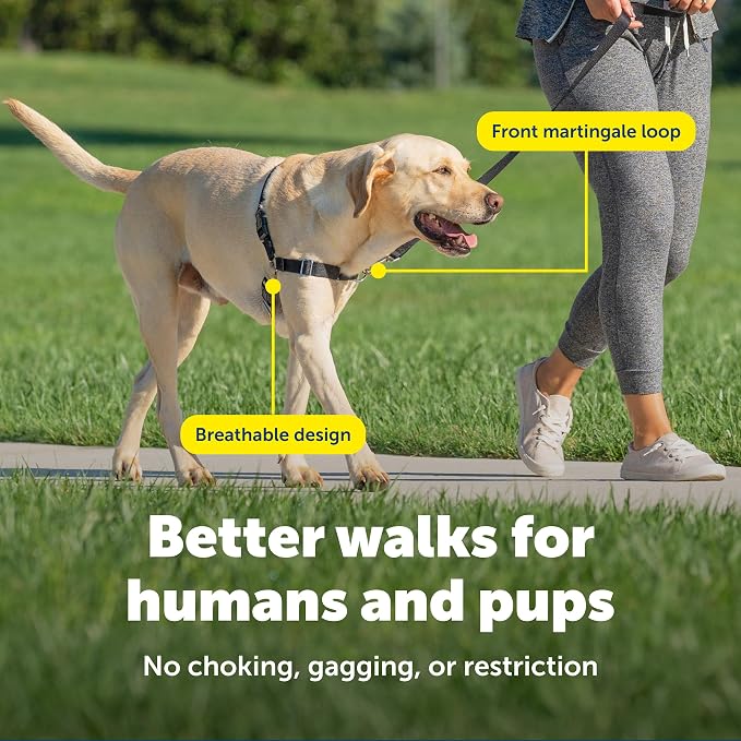 PetSafe Easy Walk Harness, No Pull Dog Harness, Apple Green, Medium | Patented Martingale Loop Gives Gradual Shoulder Pressure to Stop Pulling, Front-Chest Leash Clip Prevents Gagging