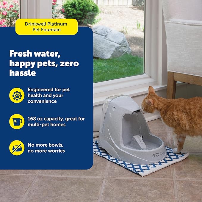 PetSafe Drinkwell Platinum Cat Water Fountain, 168 oz/5L, Grey | Free-Falling Stream Encourages Drinking, Snap-on Lid Prevents Removal, Includes Replaceable Carbon Filter