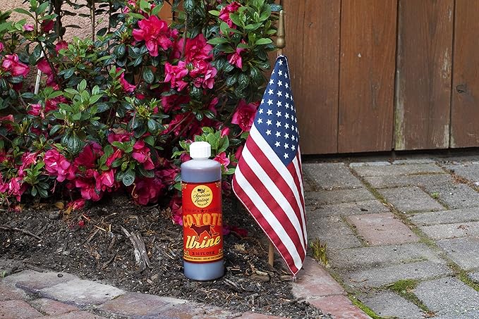 16 oz Coyote Urine- Protect Your Garden with Real Predator Urine, an American Heritage Industries Product