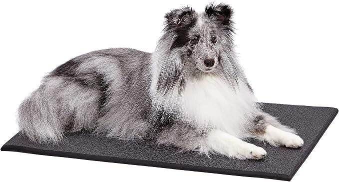 MidWest Homes for Pets Cushioned Dog Crate Mate, 30 inch Black