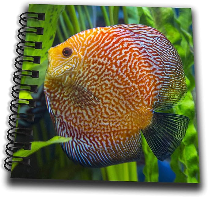 Mini Notepad 4 x 4 inch - Super Pigeon Snakeskin Discus, tropical freshwater fish . Fish