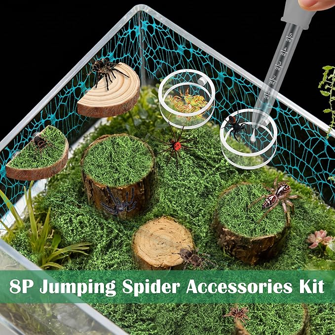 Windspeed 8Pcs Jumping Spider Enclosure Stuff Kit with 2 Jumping Spider Enclosure Ledges 2 Tarantula Feeding Dish 1.8 Ounce Fake Moss 1 Dropper 1 Clamp