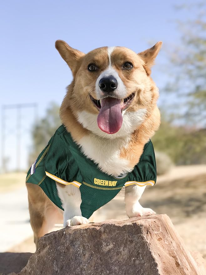 NFL Green Bay Packers PET GIFT BOX with 2 Licensed DOG TOYS, 1 Logo-engraved NATURAL DOG TREAT, 1 NFL JERSEY, 1 NFL Puppy Training Bells & 1 Car Seatbelt