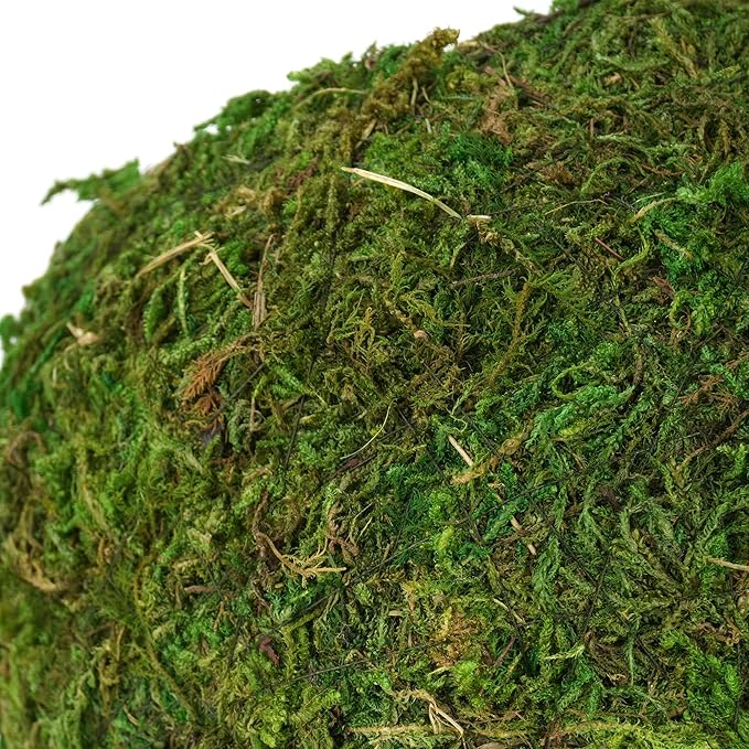 USMOLA Mossy Caves, Artificial Green Moss Caves Hide for Pet Reptile Frogs and Snakes, Terrarium & Vivarium Decor, Crested Gecko Tank Decor (6" - Woodland Green)