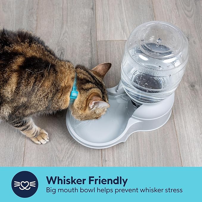 Distributeur d'eau pour chiens et chats Aspen Pet LeBistro, fabriqué aux États-Unis