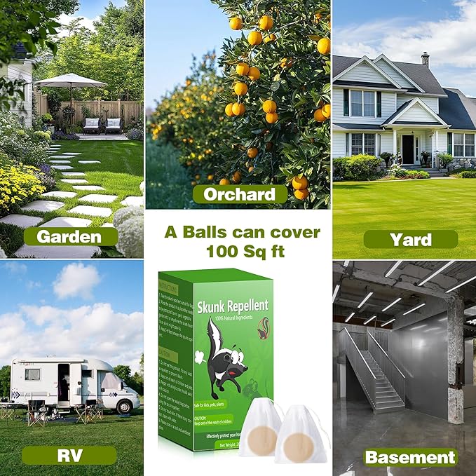 36 Pack Skunk & Raccoon Repellent for Yard, Natural Peppermint Rodent Repellent Ball Keep Skunk, Squirrel, Mouse, Raccoon Away from Yard Garden Lawn, Powerful Skunk Deterrent Outdoor