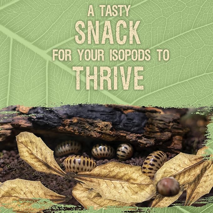 SunGrow 50 Pack Leaf Litter for Spider, Cricket & Isopod, Mini Catappa Dried Indian Almond Leaves, for Vivarium, Terrarium & Aquarium (Mini Leaves (2", 50-Pack))
