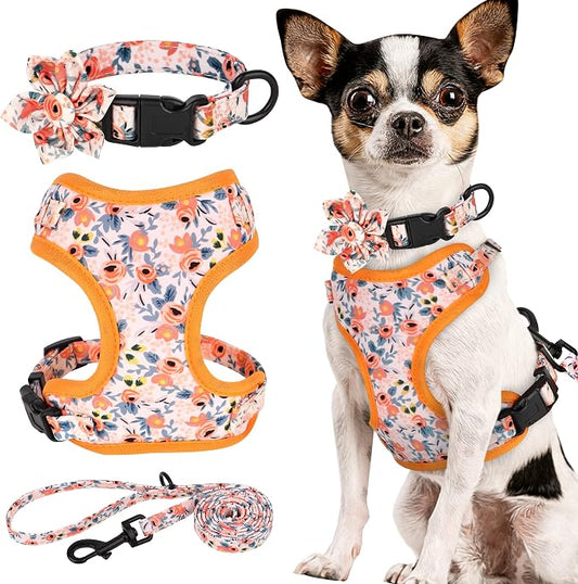 Beirui Cute Dog Collars,Harnesses,Leashes Set, Floral Pattern, Orange,XXS | Girl Dog Harness Set with Flower, Adjustable and Soft Mesh Lining, For Puppies Small & Extra Small Dogs Daily Walks