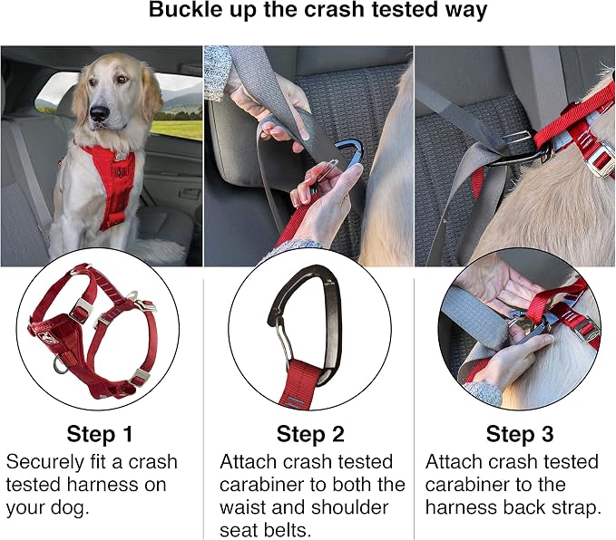 Kurgo Enhanced Strength Tru-Fit Smart Harness, Charcoal, Small | Crash Tested Car Harness for Dogs up to 75Lbs, Seatbelt Tether & Steel Carabiner, All-Steel Buckles, Padded Chest for Comfort