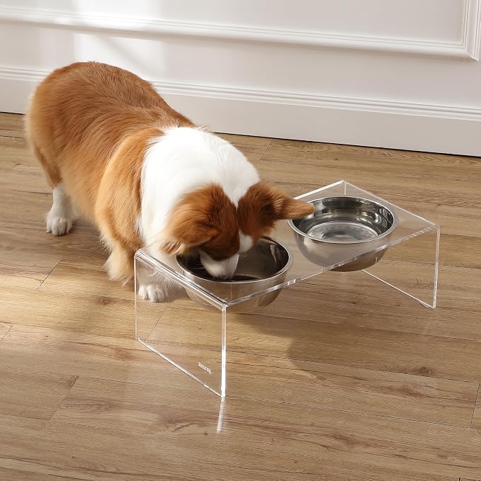DBL2001A Keaton 7.5" Medium/Large Modern Lucite Rectangular Elevated Pet Feeder with 54oz 2-Stainless Steel Bowls, Clear/Chrome