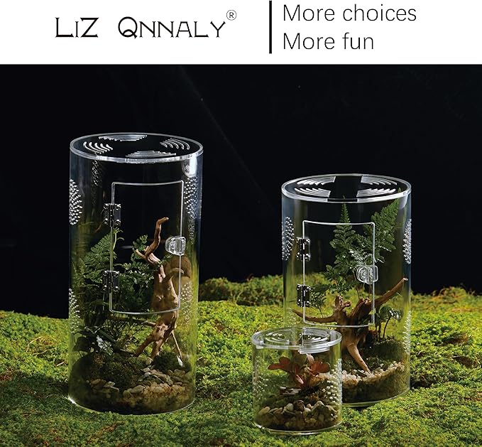 Acrylic Terrarium for Reptiles & Spiders – Small/Medium/Large Leak-Proof Enclosure (Horizontal/Vertical) | Ideal for Tarantulas, Jumping Spiders, Frogs & Geckos(Medium, Round)