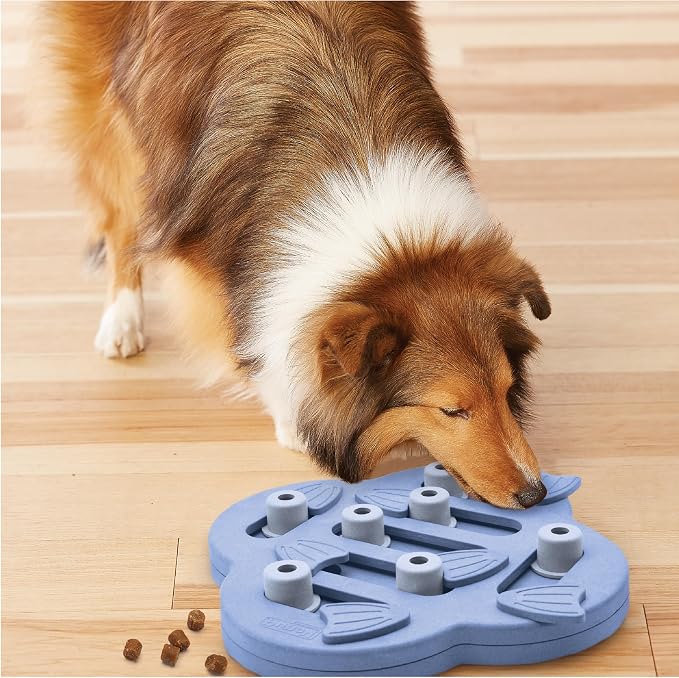 Outward Hound by Nina Ottosson Dog Hide N' Slide – Interactive Treat Puzzle Enrichment Toy, Level 2 Intermediate